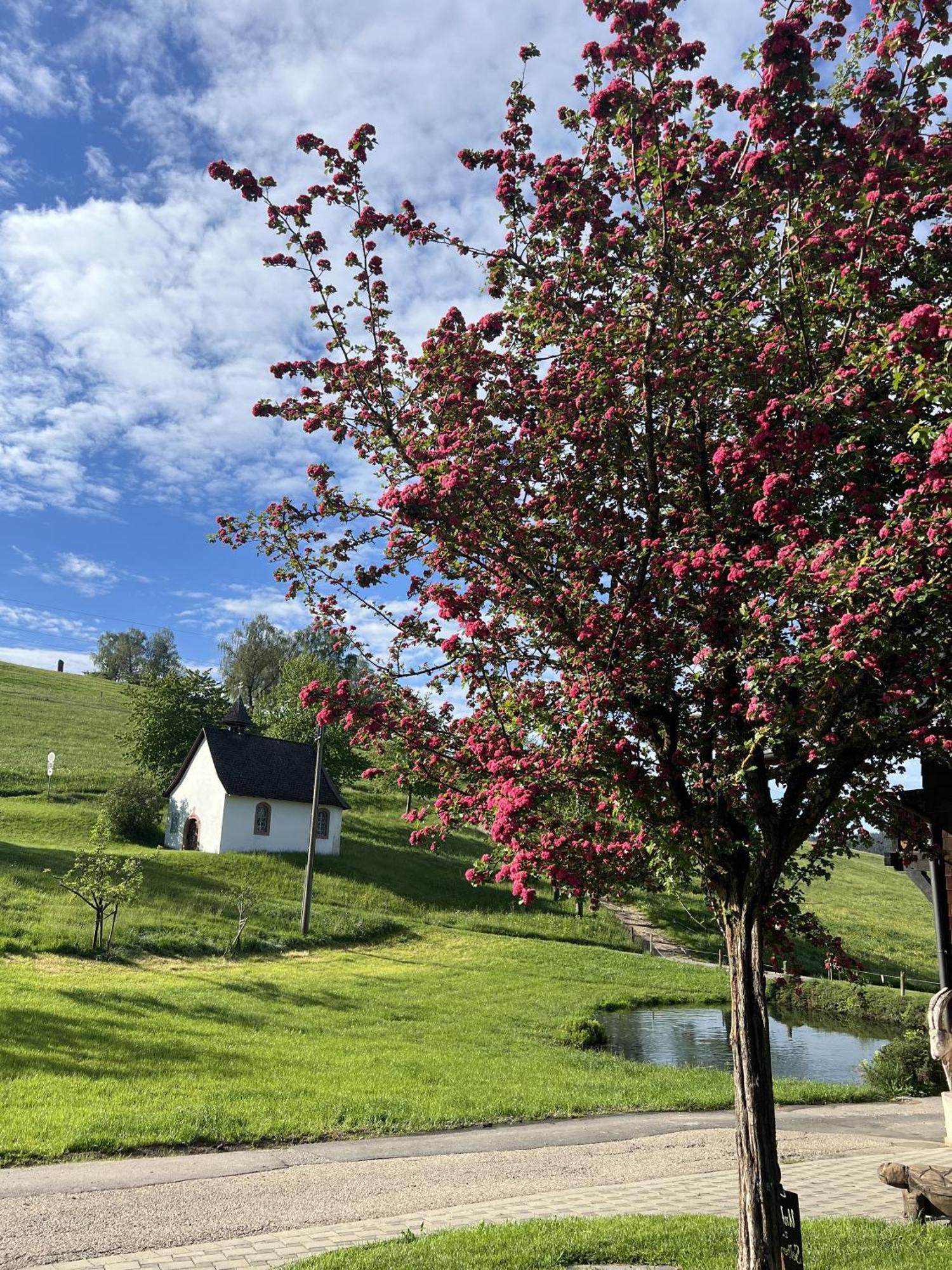 Kapellenhof Séjour à la ferme *